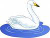 The Ugly Duckling became a swan...